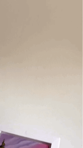 SMALL | 6 size options, 8 colour choices