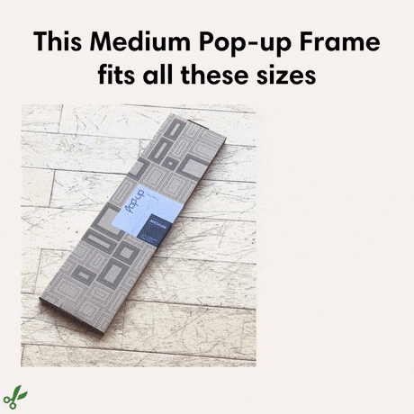 MEDIUM Multisize Picture Frame 3-pack | A4 - A3+
