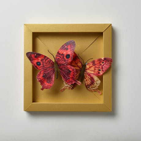 SMALL Pop-up Picture Frame | 15cm-30cm